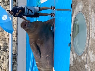 大分マリーンパレス水族館 「うみたまご」に投稿された画像（2020/8/23）