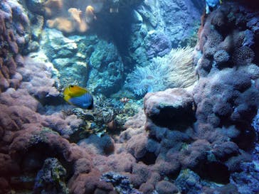 株式会社Gに投稿された画像（2020/8/23）