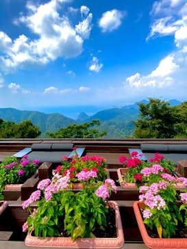 伊豆パノラマパークに投稿された画像（2020/8/23）