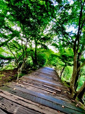 伊豆パノラマパークに投稿された画像（2020/8/23）