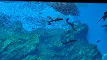 仙台うみの杜水族館に投稿された画像（2020/8/23）