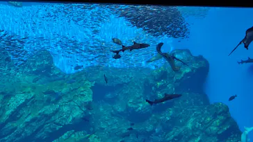 仙台うみの杜水族館に投稿された画像（2020/8/23）