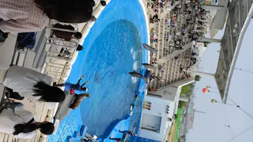 仙台うみの杜水族館に投稿された画像（2020/8/23）