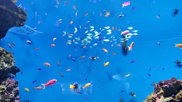 仙台うみの杜水族館に投稿された画像（2020/8/23）