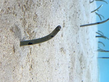 アクアワールド茨城県大洗水族館に投稿された画像（2020/8/23）