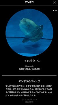 アクアワールド茨城県大洗水族館に投稿された画像（2020/8/23）