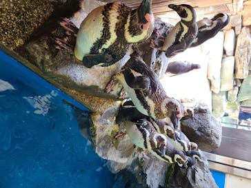 株式会社Gに投稿された画像（2020/8/23）