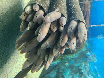 株式会社Gに投稿された画像（2020/8/23）