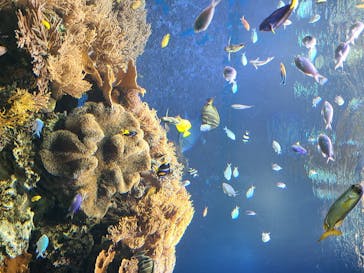 株式会社Gに投稿された画像（2020/8/23）