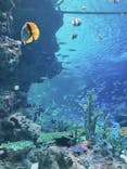 サンシャイン水族館に投稿された画像（2020/8/23）