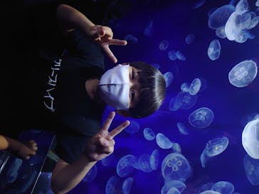 サンシャイン水族館に投稿された画像（2020/8/23）