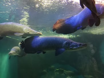 株式会社Gに投稿された画像（2020/8/23）