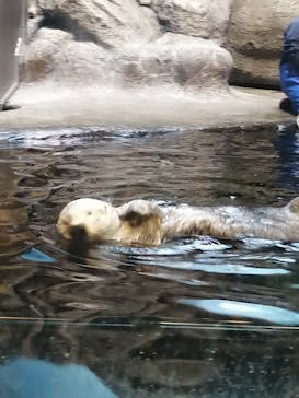 株式会社Gに投稿された画像（2020/8/23）