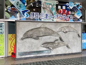 伊豆・三津シーパラダイスに投稿された画像（2020/8/23）