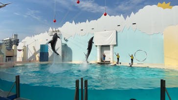 株式会社Gに投稿された画像（2020/8/23）