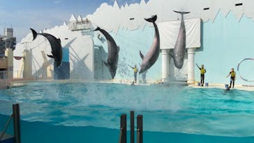 株式会社Gに投稿された画像（2020/8/23）