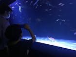 サンシャイン水族館に投稿された画像（2020/8/23）
