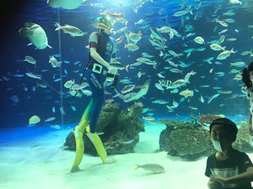 サンシャイン水族館に投稿された画像（2020/8/23）