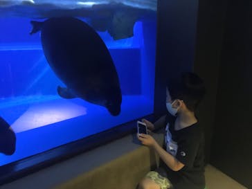 サンシャイン水族館に投稿された画像（2020/8/23）