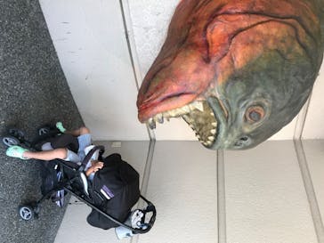 株式会社Gに投稿された画像（2020/8/23）