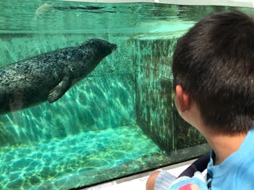 株式会社Gに投稿された画像（2020/8/23）