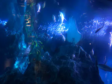 すみだ水族館に投稿された画像（2020/8/23）