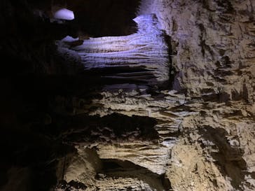 おきなわワールドに投稿された画像（2020/8/23）