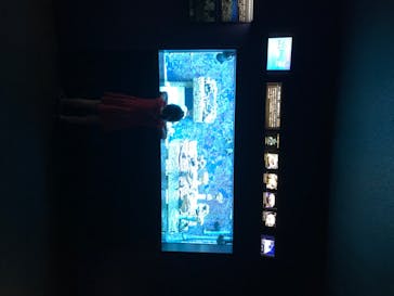 サンシャイン水族館に投稿された画像（2020/8/23）