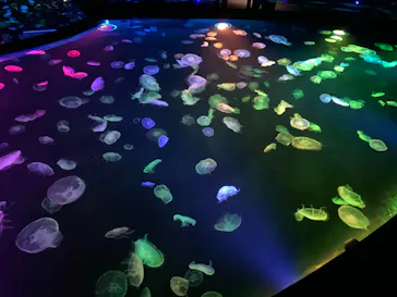 すみだ水族館に投稿された画像（2020/8/23）