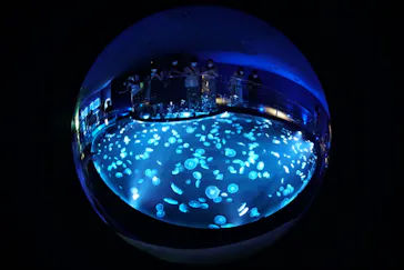 すみだ水族館に投稿された画像（2020/8/23）