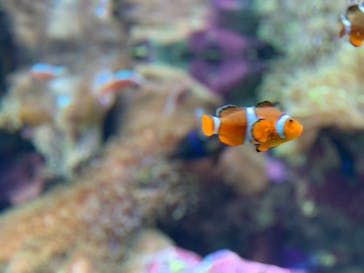 サンシャイン水族館に投稿された画像（2020/8/23）