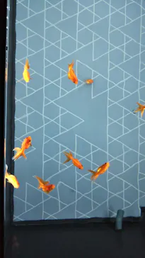 すみだ水族館に投稿された画像（2020/8/23）