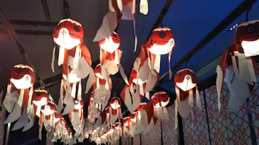 すみだ水族館に投稿された画像（2020/8/23）