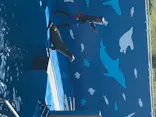仙台うみの杜水族館に投稿された画像（2020/8/23）