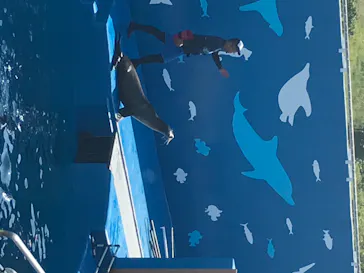 仙台うみの杜水族館に投稿された画像（2020/8/23）