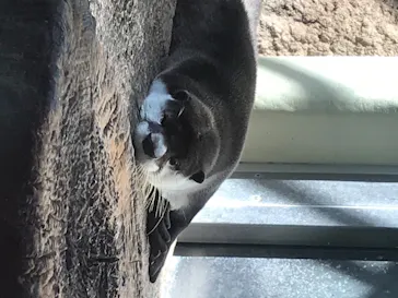 仙台うみの杜水族館に投稿された画像（2020/8/23）