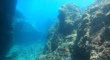 青の洞窟専門店　沖縄ダイビングショップ和に投稿された画像（2020/8/23）