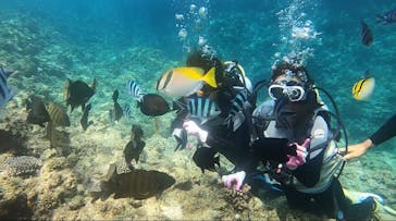 青の洞窟専門店　沖縄ダイビングショップ和に投稿された画像（2020/8/23）