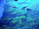 仙台うみの杜水族館に投稿された画像（2020/8/23）