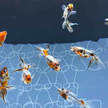 すみだ水族館に投稿された画像（2020/8/23）