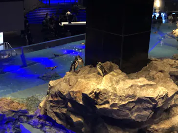 すみだ水族館に投稿された画像（2020/8/23）