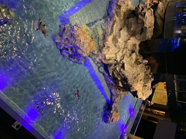 すみだ水族館に投稿された画像（2020/8/23）