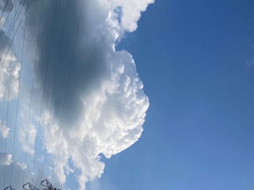 日本モンキーパークに投稿された画像（2020/8/23）