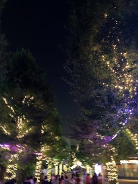 としまえんに投稿された画像（2020/8/23）