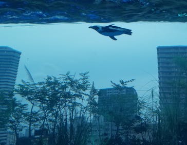 サンシャイン水族館に投稿された画像（2020/8/23）