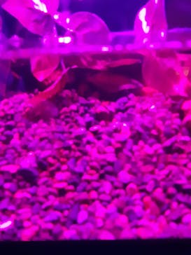 島根県立 しまね海洋館に投稿された画像（2020/8/23）