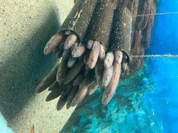 株式会社Gに投稿された画像（2020/8/23）