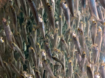 株式会社Gに投稿された画像（2020/8/23）