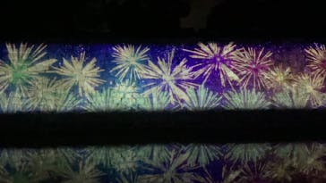 二条城×ネイキッド 二条城夏まつり2021に投稿された画像（2020/8/23）