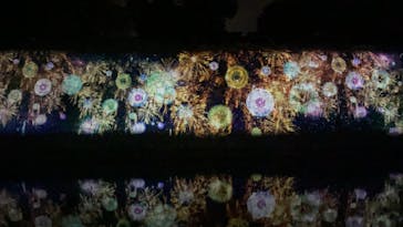 二条城×ネイキッド 二条城夏まつり2021に投稿された画像（2020/8/23）